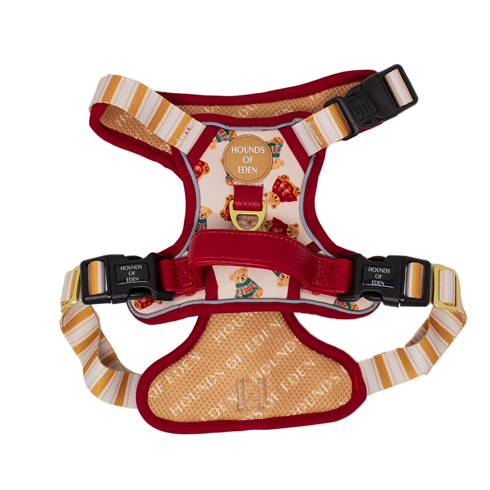 Harrold + Hattie Bears Supaw Strong Lite™ Dog Harness (XS-XL)
