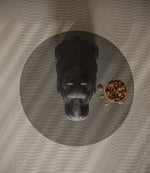 Hippo Side Table, Glass