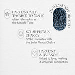 12 Bottles of 528Hz Harmonically Treated Still Spring Water