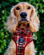 Tartan Me Up - Red & Cream Tartan Design Dog Harness