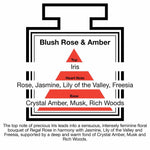 Pairfum London Luxury Reed Diffuser 50ml - Blush Rose & Amber - with 10 Black Reeds