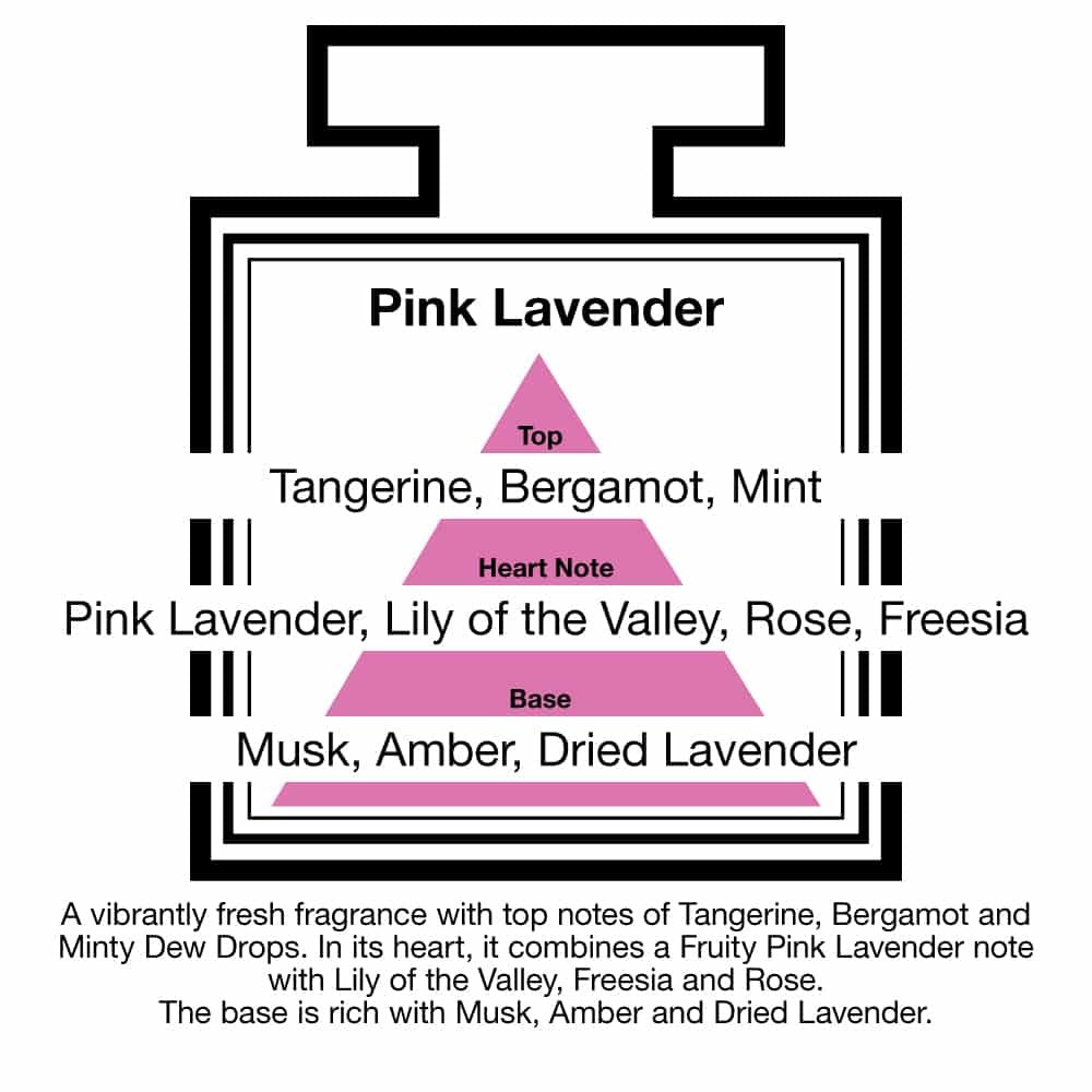 Pairfum London Luxury Reed Diffuser ‘eau de parfum’ 50ml - Pink Lavender - 10 Black Reeds