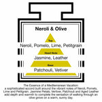 Pairfum London Luxury Reed Diffuser ‘eau de parfum’ 50ml - Neroli & Olive- 10 Black Reeds