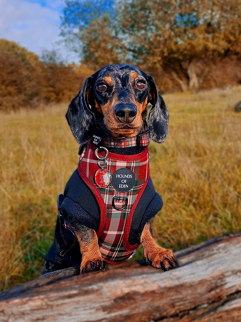 Tartan Me Up - Red & Cream Tartan Design Dog Harness