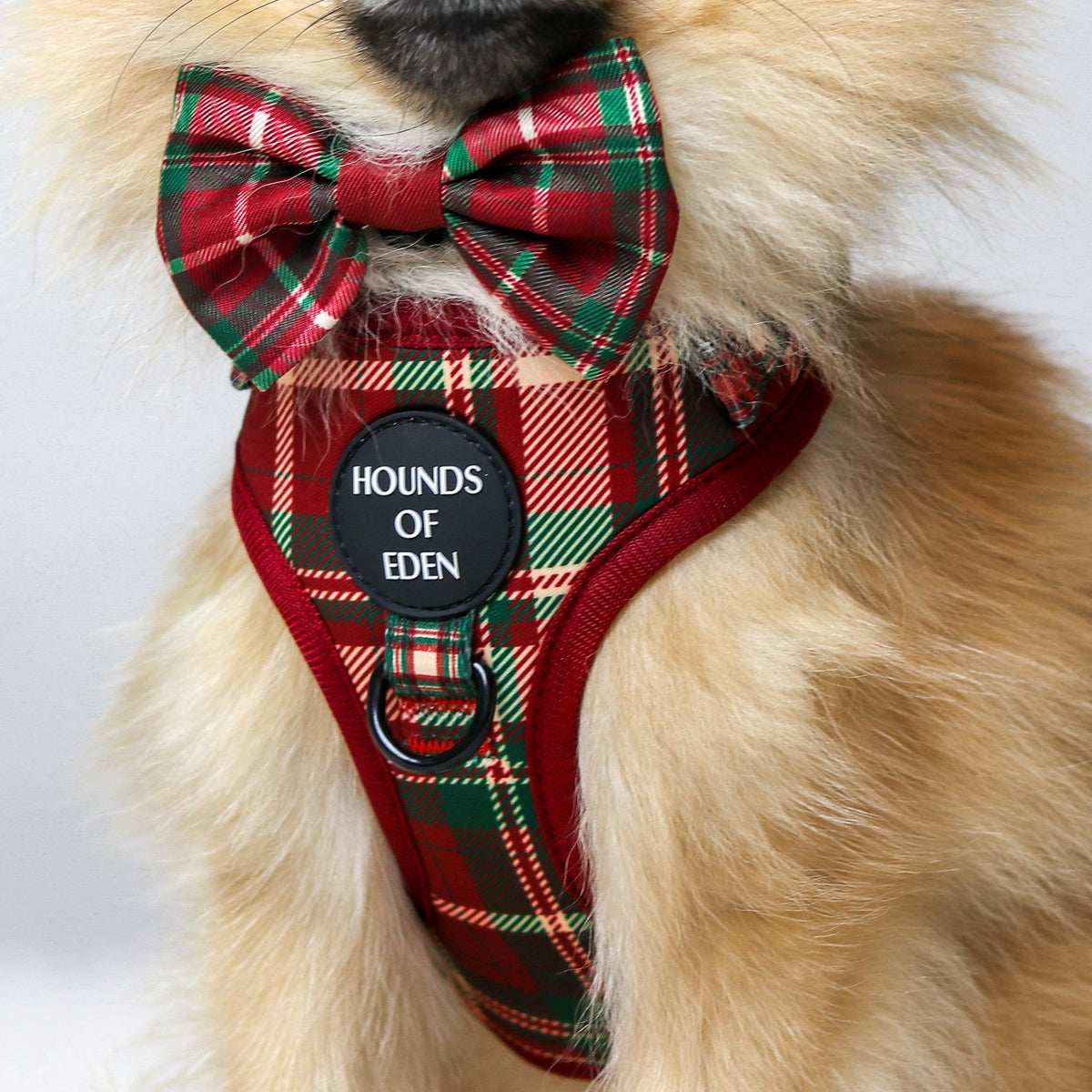 Tartan Me Up - Red & Cream Tartan Design Dog Harness