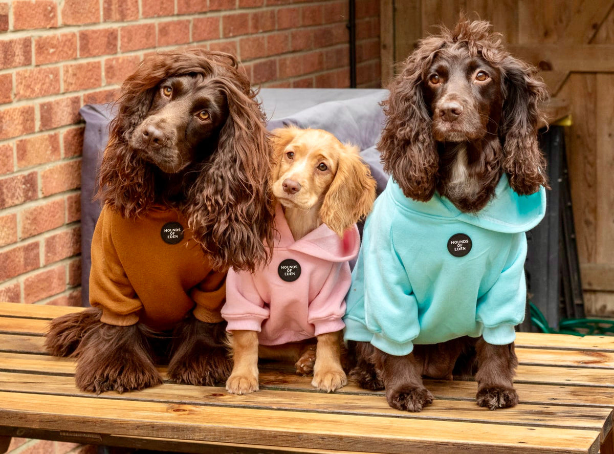 Soft Cotton Blend Dog Hoodie Red