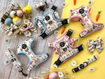 Bunny Tales Dog Collar