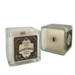 Candle Wise Cozumel Large Scented Candle | Aromatic and Uplifting