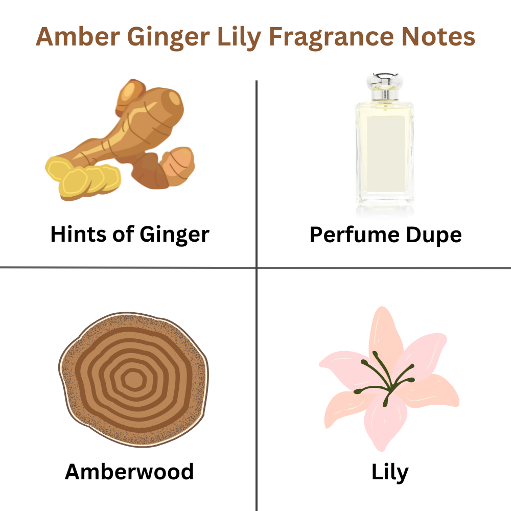 Buy 4 Get 1 Free | Dark Amber Ginger Lily Inspired Wax Melts - ScentiMelti  Buy 4 Get 1 Free | Dark Amber Ginger Lily Inspired Wax Melts