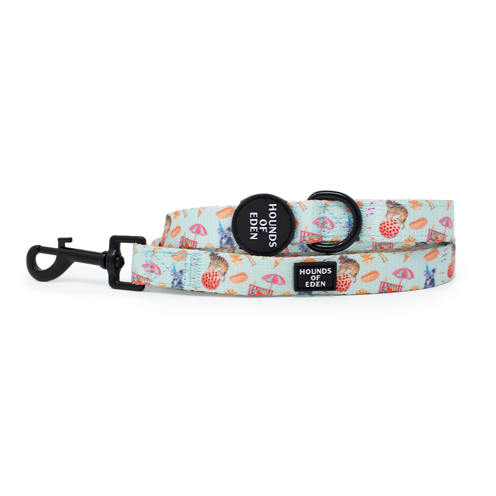 CIRCUS PUP - Dog Harness