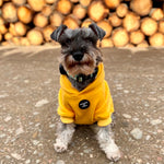 Soft Cotton Blend Dog Hoodie Sky Blue