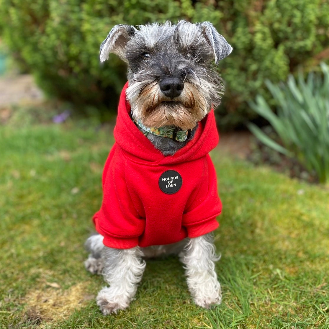 Soft Cotton Blend Dog Hoodie Red
