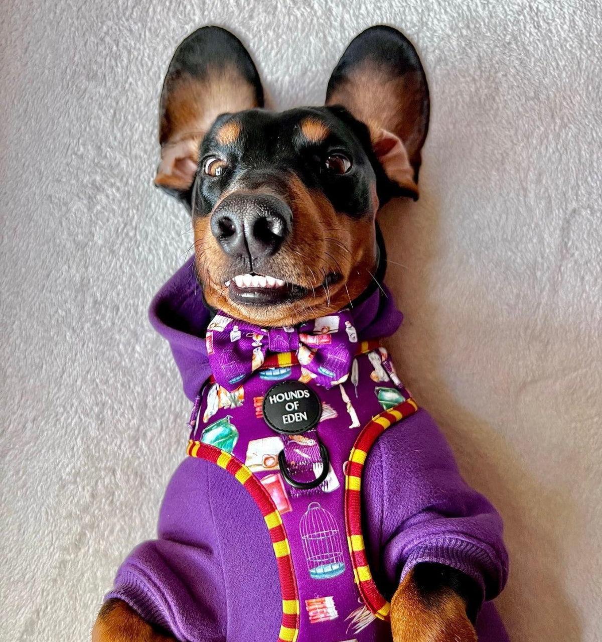 Soft Cotton Blend Dog Hoodie Purple
