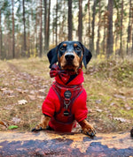 Soft Cotton Blend Dog Hoodie Red