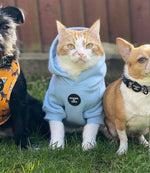 Soft Cotton Blend Dog Hoodie Sky Blue