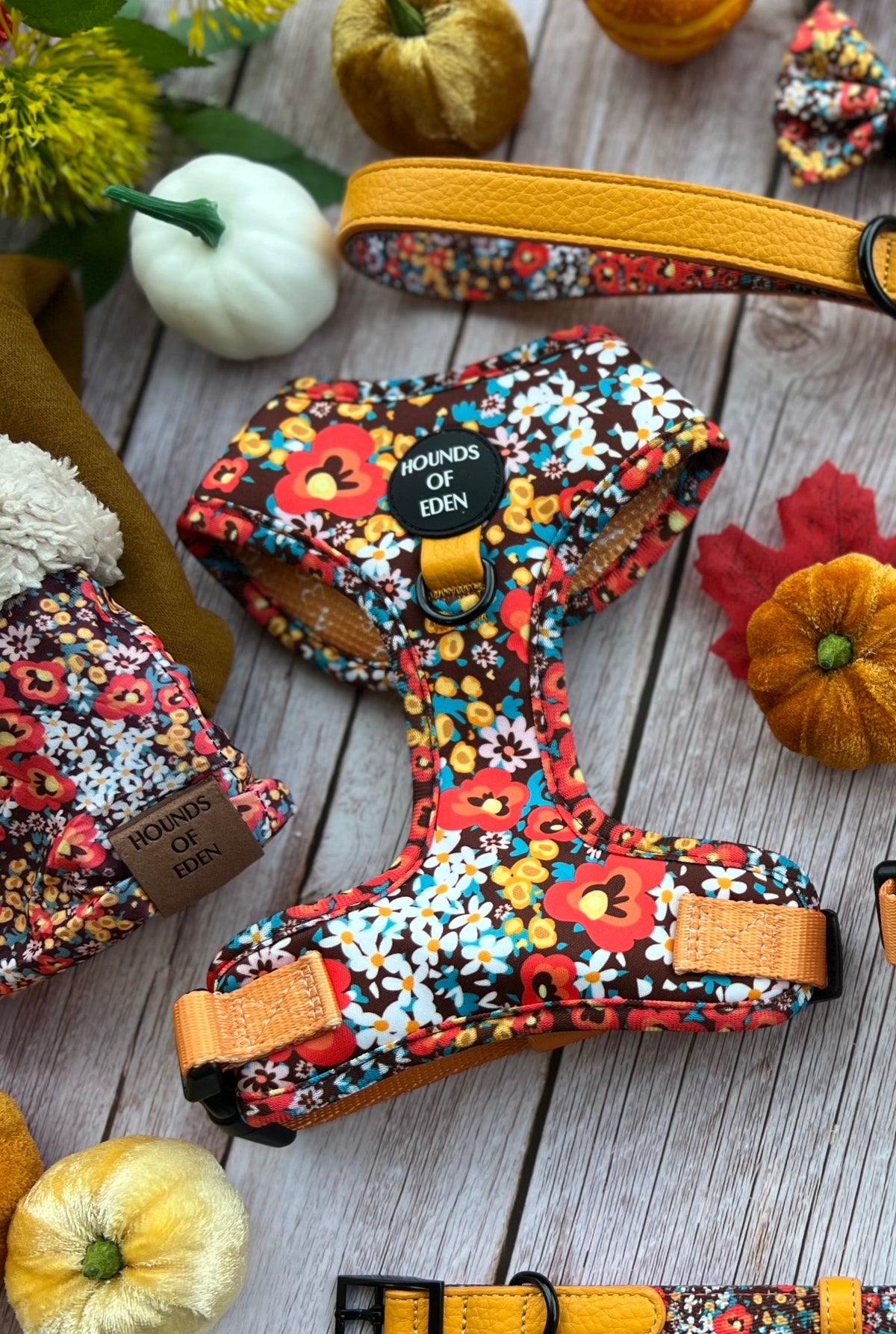 Retro Bloom Dog Harness (XXS & XS)
