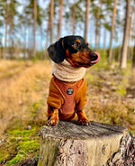 Soft Cotton Blend Dog Hoodie Brown