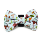 Teddy it's Cold Outside - Dog Harness