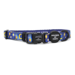 Arabian Nights - Blue and Gold Dog Harness
