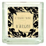Candle Wise Iguazu Large Candle | Pure & Invigorating