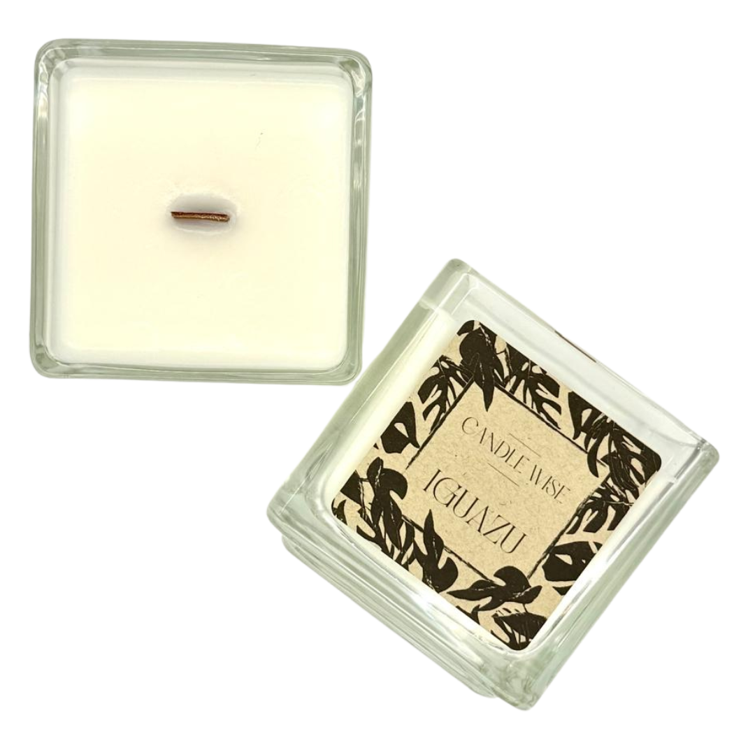 Candle Wise Iguazu Large Candle | Pure & Invigorating