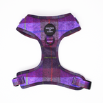 'Molly' - Pink & Purple Check Dog Harness
