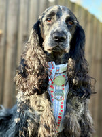 Eden's Orchard - Supaw Strong™ Dog Harness (XS-XL)