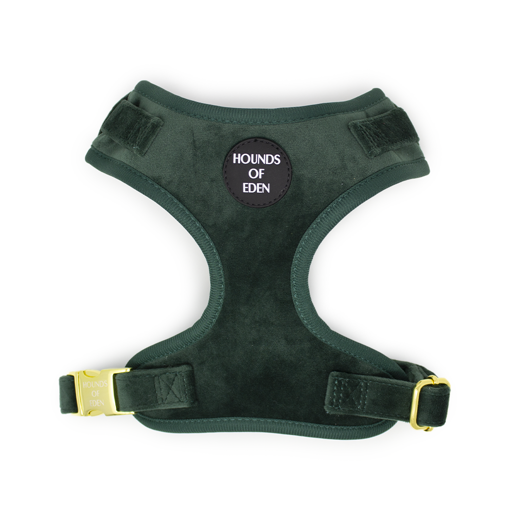 Olive Green Velvet Dog Harness