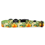 Simply the Zest - Oranges Dog Harness