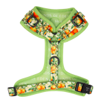 Simply the Zest - Oranges Dog Harness
