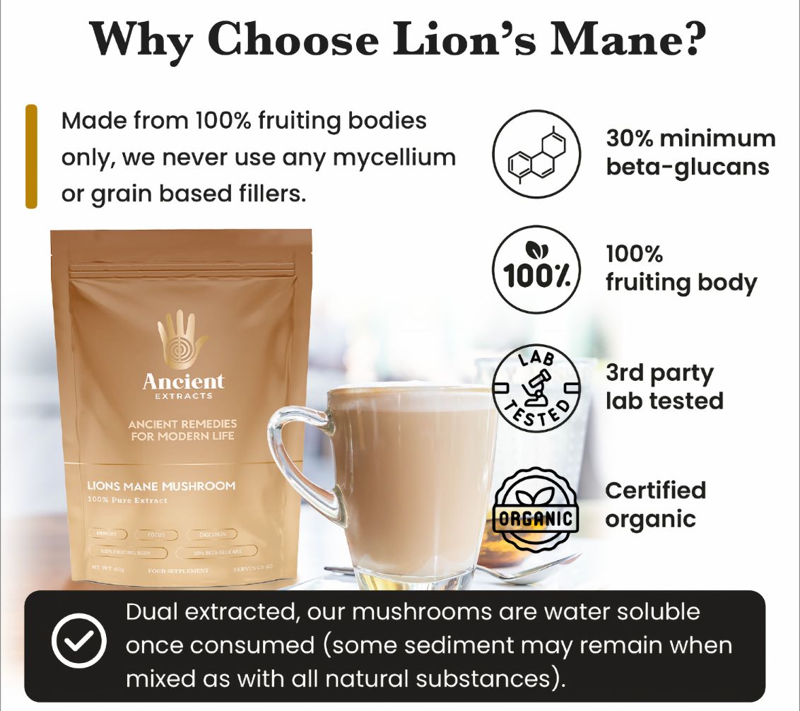 Lion's Mane Mushroom Extract Powder - 30% Beta-glucan (60g)