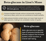 Lion's Mane Mushroom Extract Powder - 30% Beta-glucan (60g)