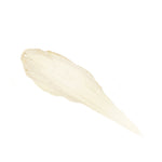 Douvall's Argan Highlight Stick Balm 30g | Instant Hydration and glow face and body