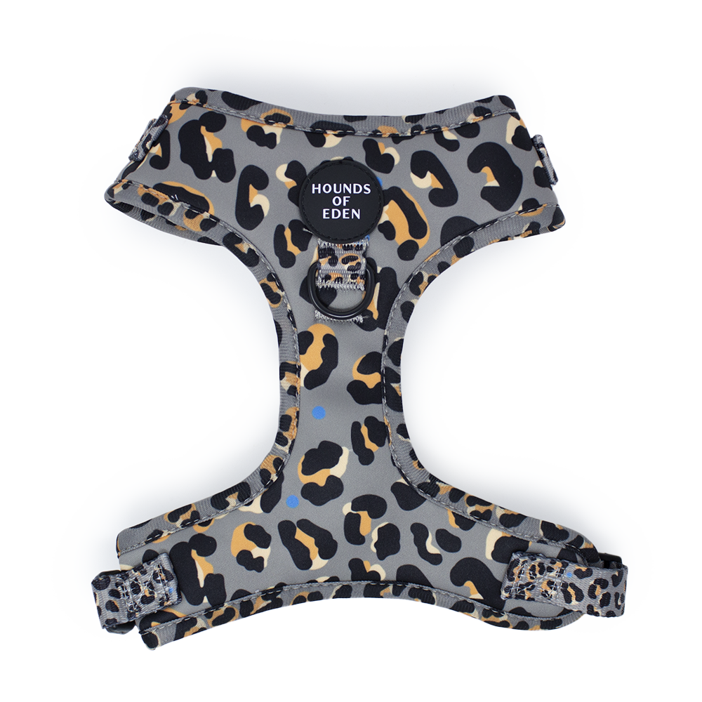 'Steel Leopard' - Khaki/Grey Dog Harness Large