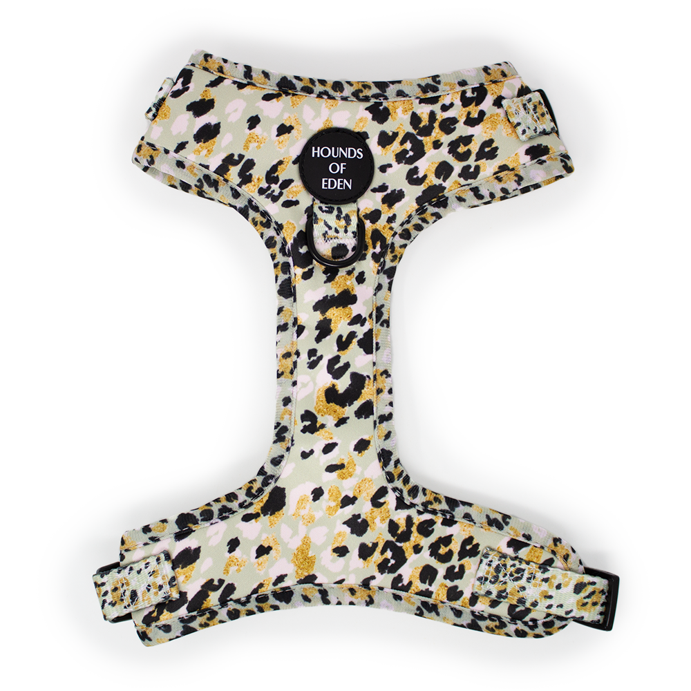 Sage Leopard Design Dog Collar