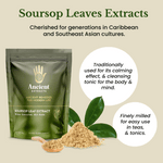 Soursop Leaf Extract - South American Graviola (60g)