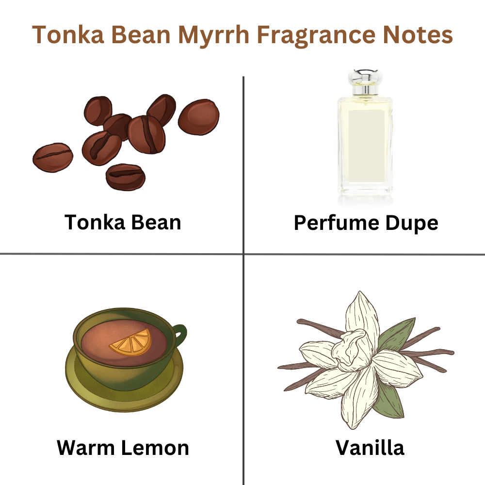 Tonka Bean & Myrrh Wax Melts Inspired by JM - ScentiMelti  Tonka Bean & Myrrh Wax Melts Inspired by JM