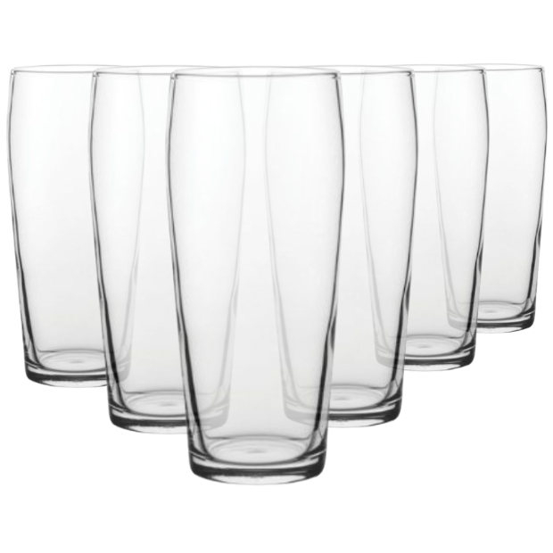 Ale Craft Beer Glasses - 570ml - Set of 6