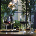 Bormioli Rocco Planeo Gran Rosso Wine Glasses - 555ml - Set of 4