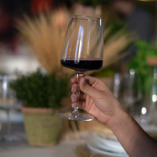 Bormioli Rocco Planeo Red Wine Glasses - 480ml - Set of 4