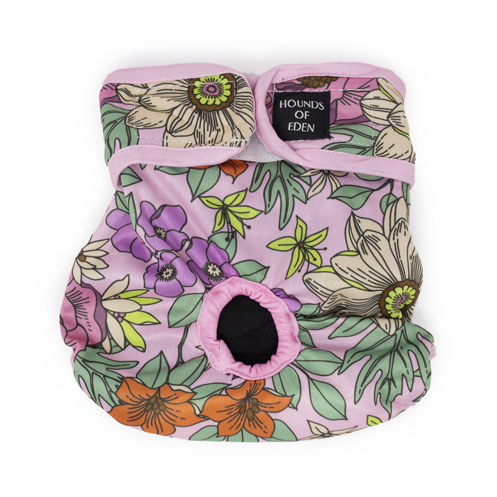 Wild Blossom - Dog Season Hygiene Panties