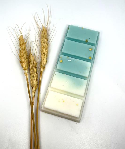OFFER Buy4Get1Free | Wood Sage Sea Salt Wax Melts Inspired by JM - ScentiMelti Wax Melts