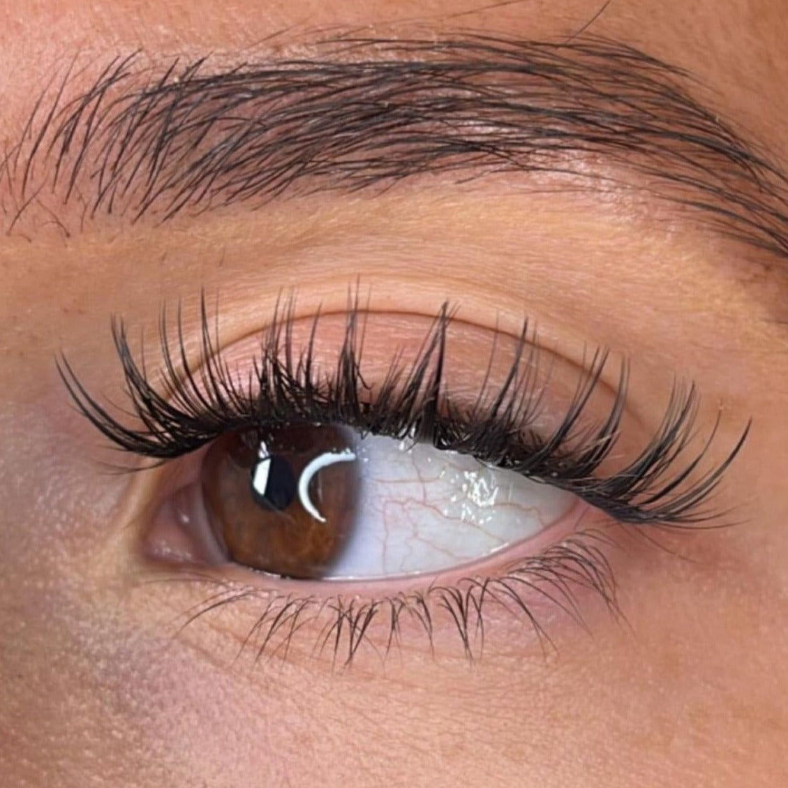 Alma Lash Ribbons® Collections