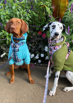 Soft Cotton Blend Dog Hoodie Grey