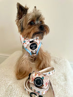 Bunny Tales - Blue, Dog Harness (XXS-XS)