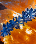 Maïssa Paris Ambre Millenaire 100ml