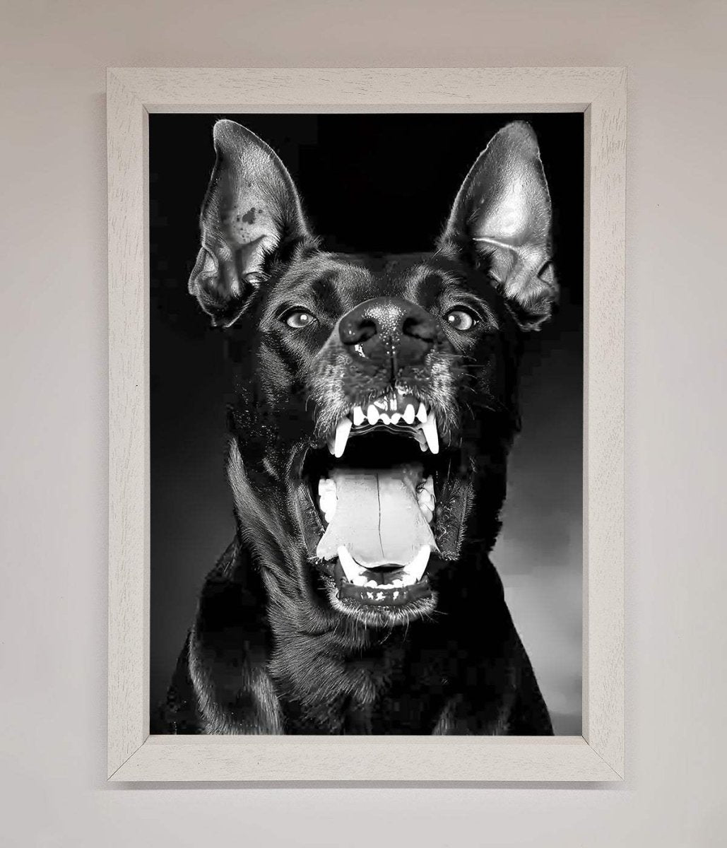 Angry Doberman Dog Framed Wall Art White