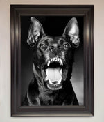 Angry Doberman Dog Framed Wall Art Matt Black
