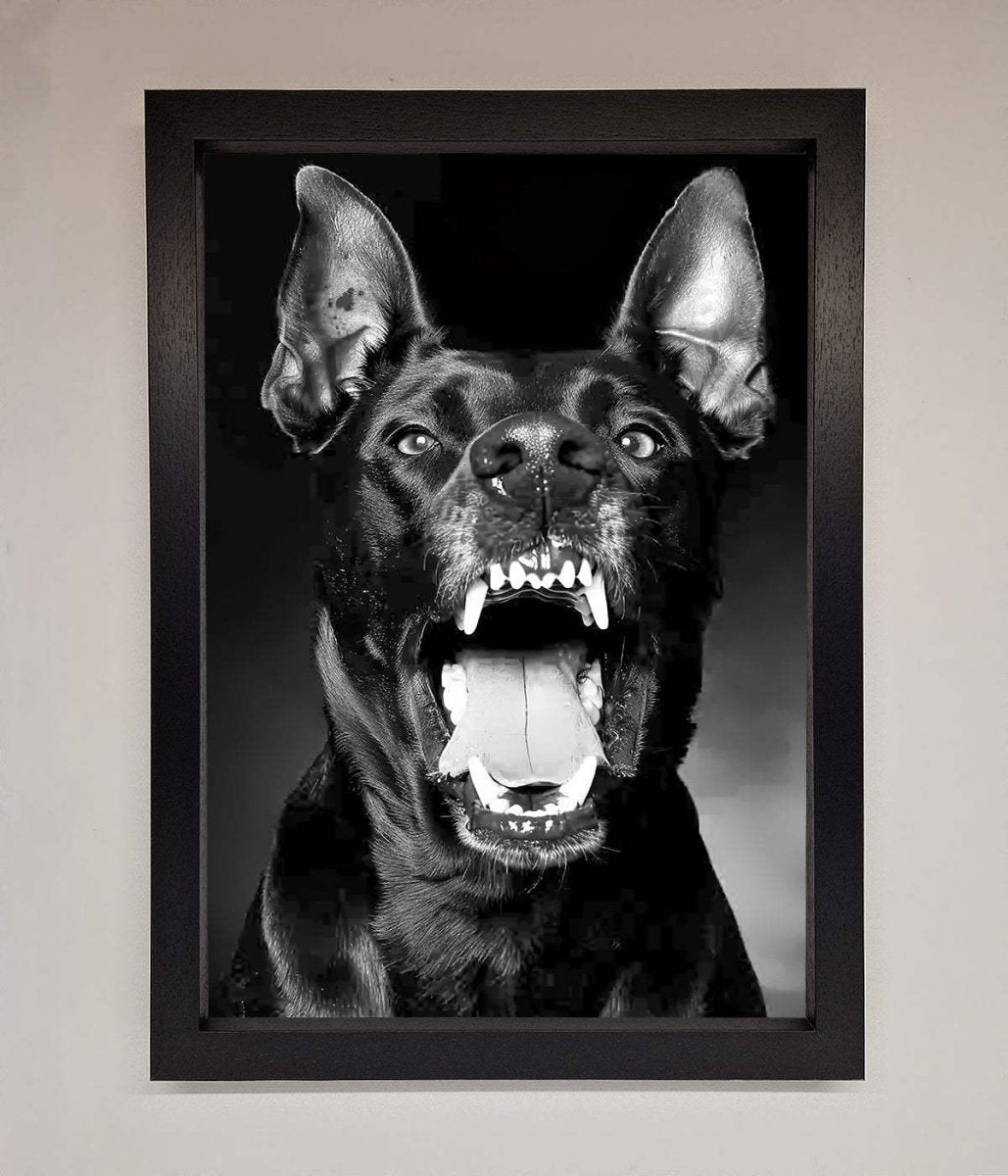 Angry Doberman Dog Framed Wall Art Black