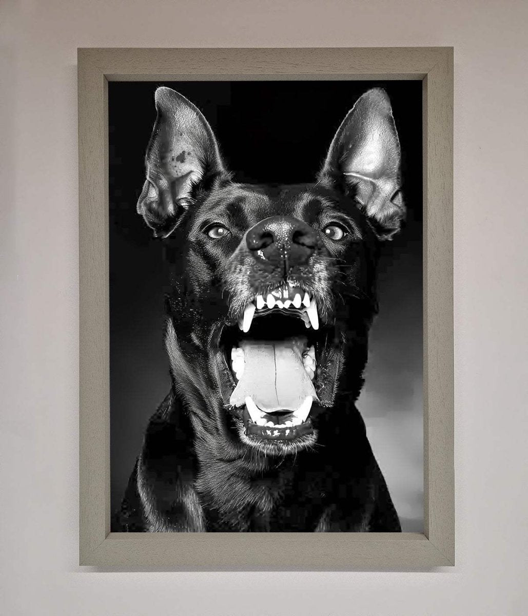 Angry Doberman Dog Framed Wall Art Grey